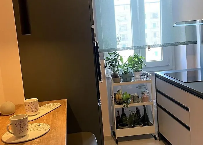 Boni Apartment